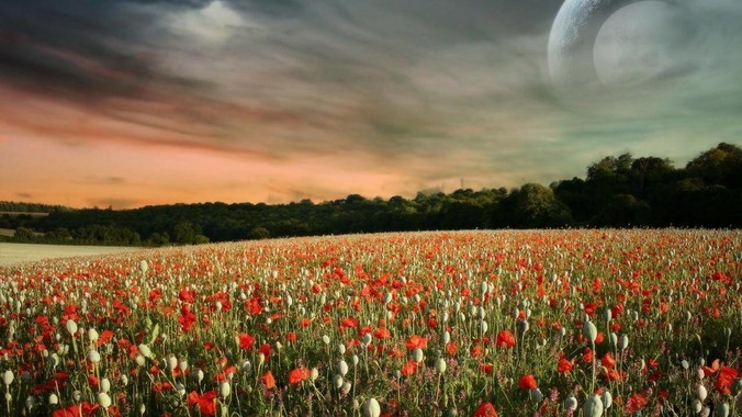 如何评价vue作者尤雨溪？